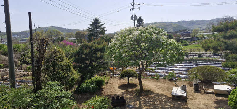 게시글 이미지